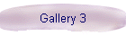 Gallery 3