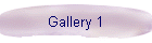 Gallery 1